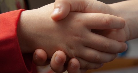 The picture shows two people shaking hands. The hands seem to belong to children. You can see the red sleeve of the person on the left.