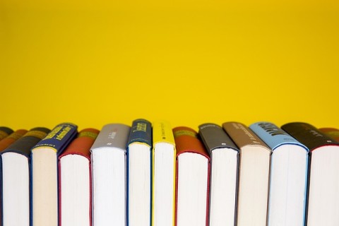 Bücherreihe vor gelben Hintergrund