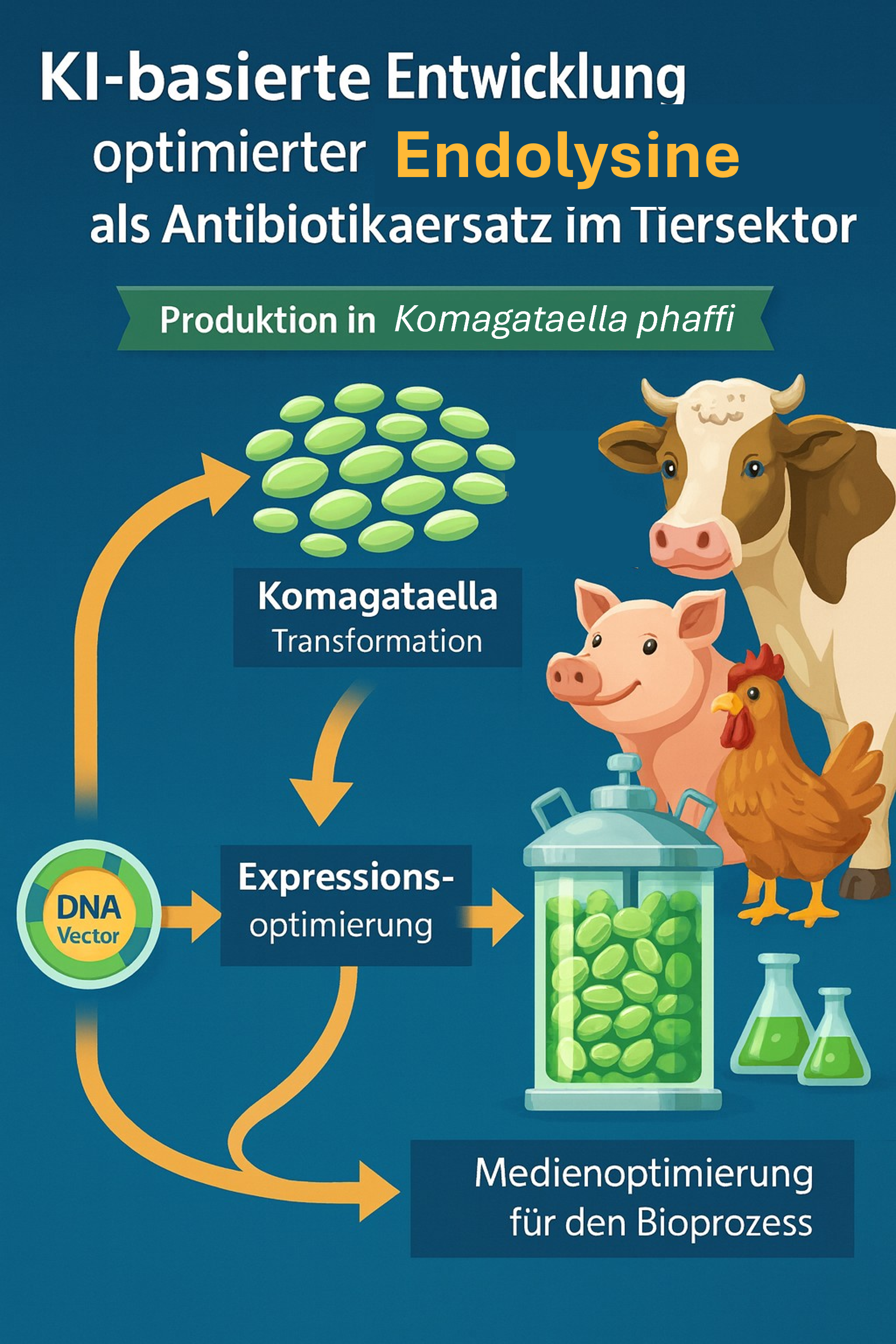 Grafische Übersicht zum Projekt KEEPA