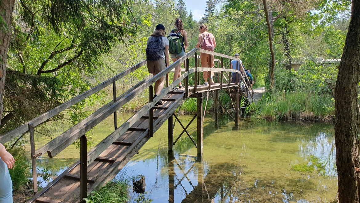 junge Studentinnen laufen über eine Brücke im Wald