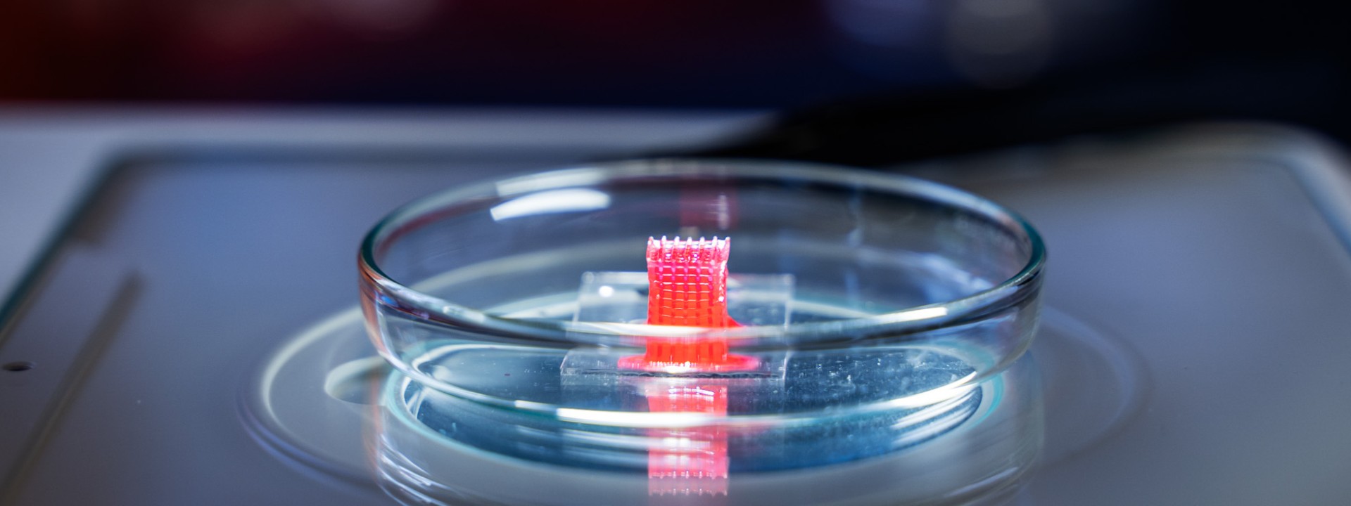 HM research in a Petri dish