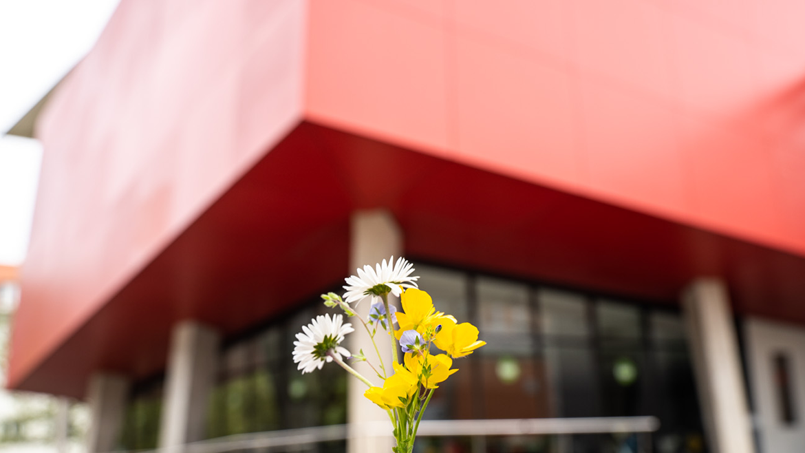 Blumen vor dem roten Würfel der Hochschule München