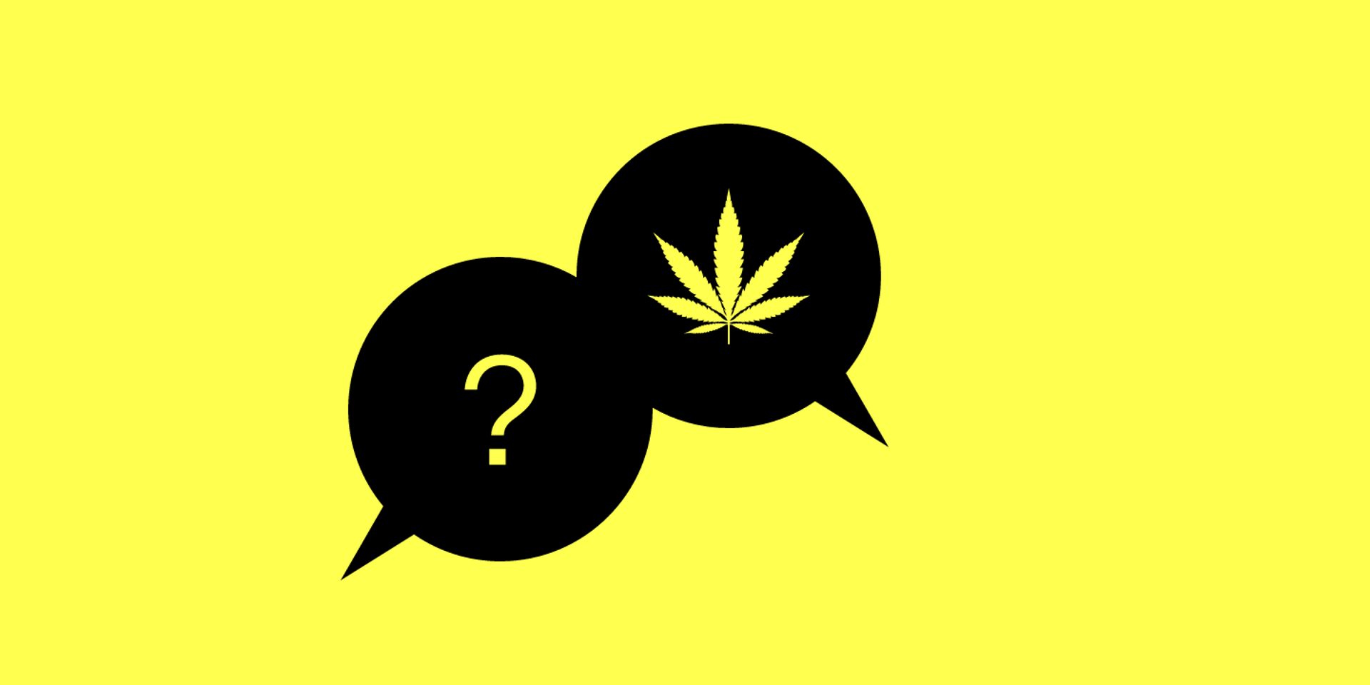 Warum können Studierende am besten über Cannabis aufklären?