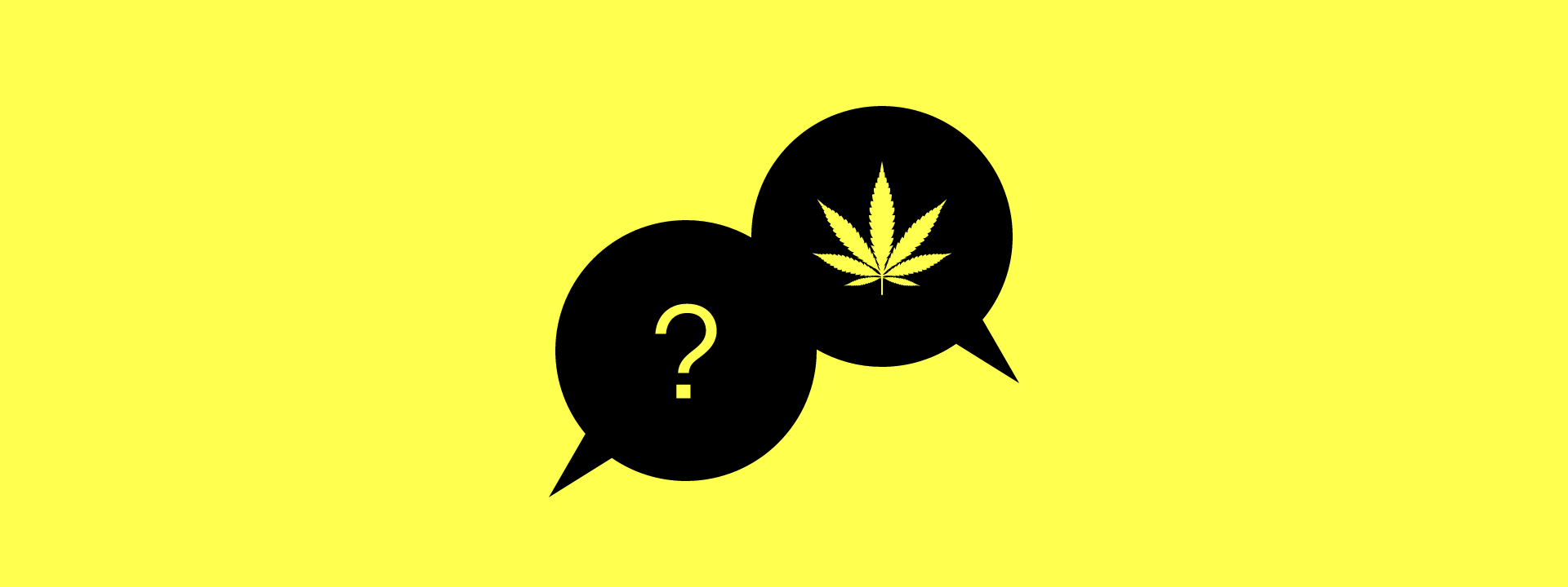 Warum können Studierende am besten über Cannabis aufklären?