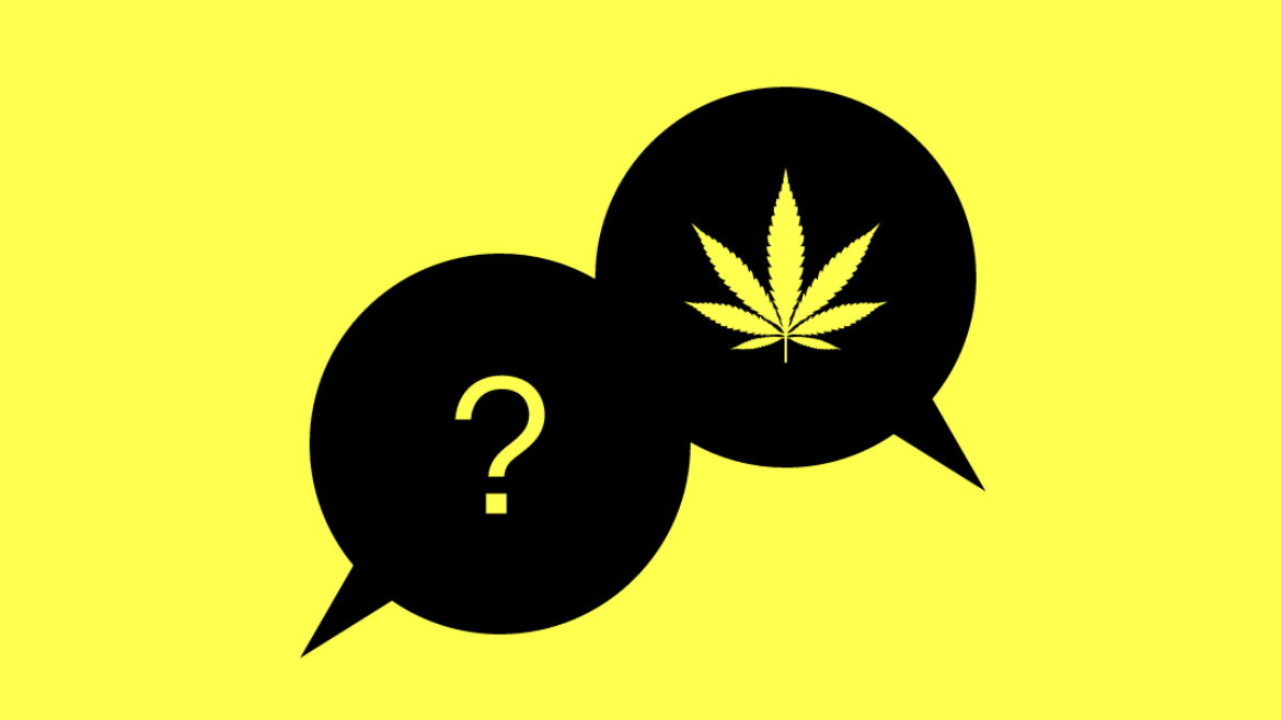 Warum können Studierende am besten über Cannabis aufklären?