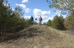 Prof. Krzystek erforscht gemeinsam mit Dr. Molitor den „Roten Wald“ (Foto: Peter Krzystek)