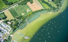 Das Labyrinth mit Beethoven-Motiv liegt nicht weit entfernt vom Ammersee (Foto: Ex Ornamentis)