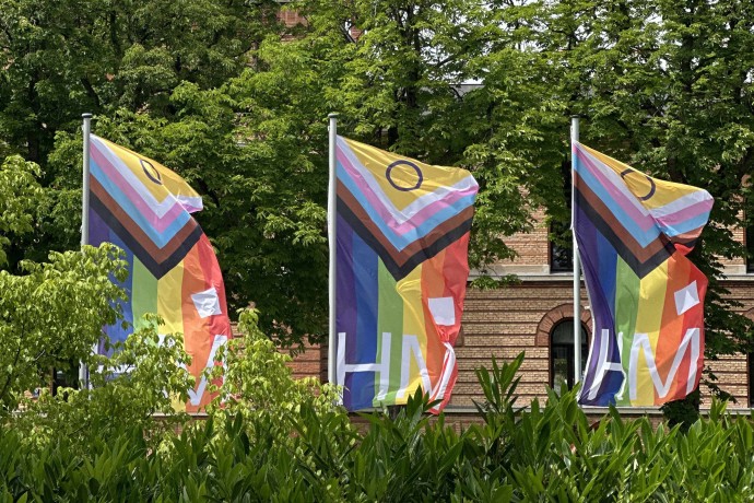 Progress Pride Flaggen mit HM Logo