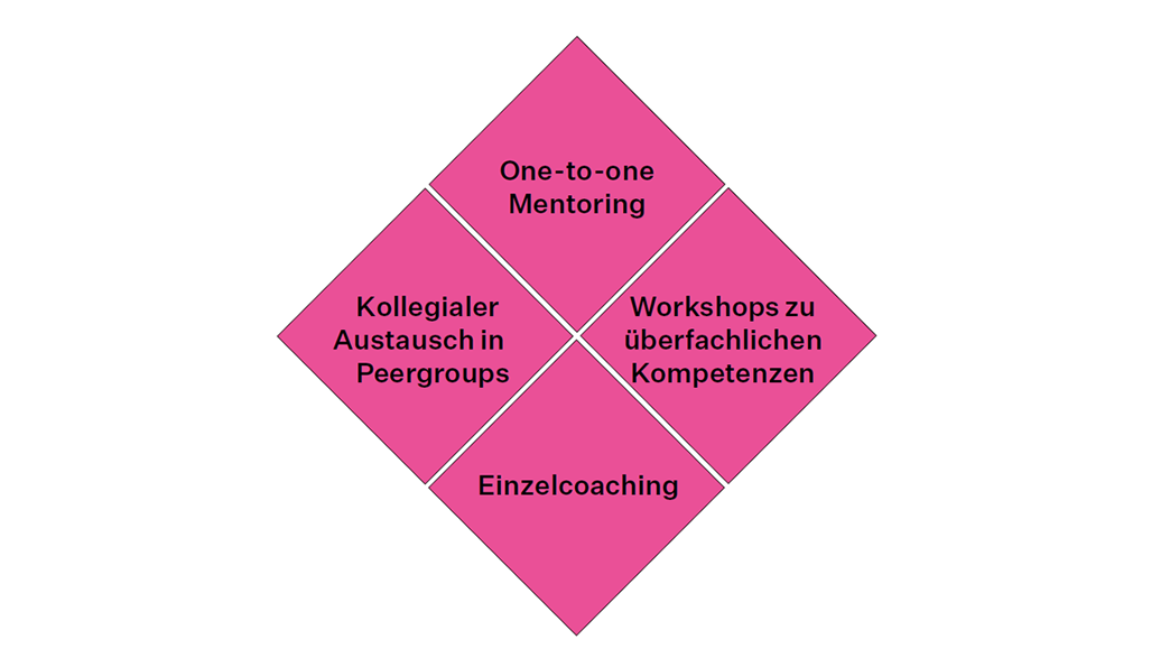 Elemente meant4science (Grafik: Hochschule München) Elemente meant4science