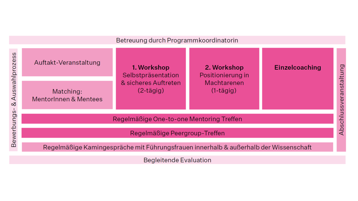 Programmaufbau meant4science (Grafik: Hochschule München) Programmaufbau meant4science