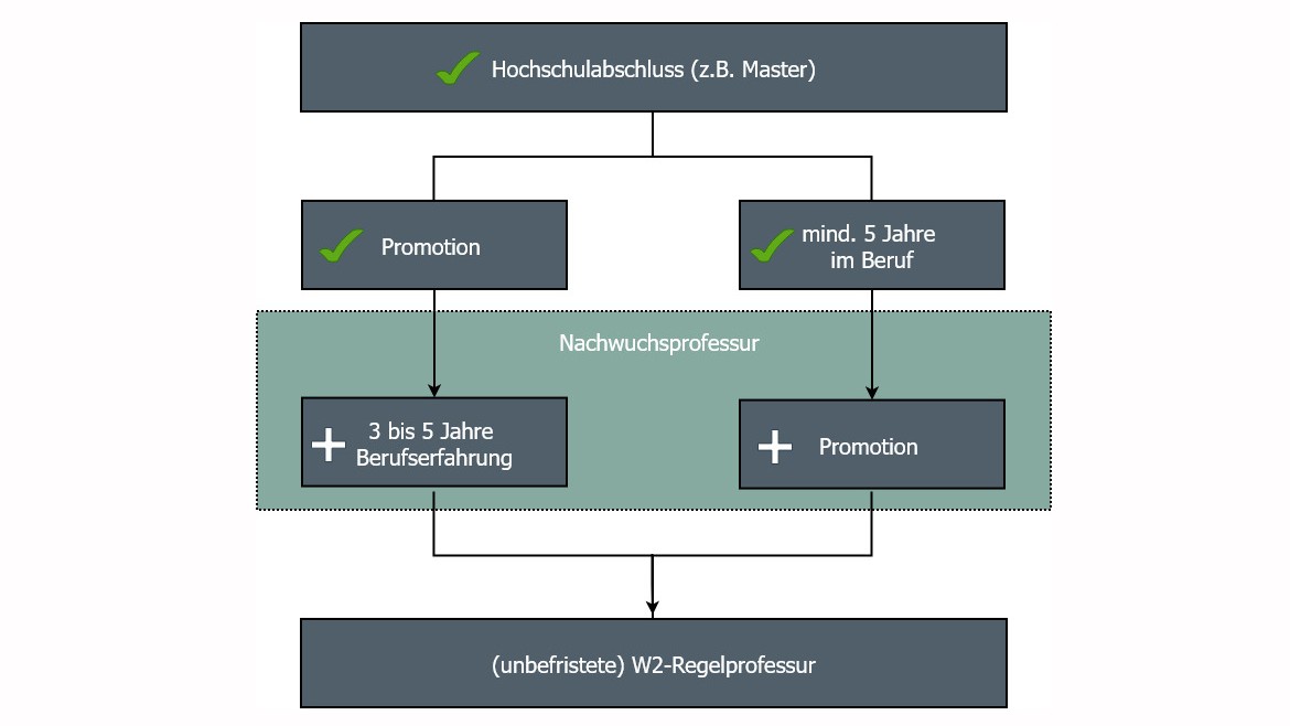 Nachwuchsprofessur Qualifizierungspfade