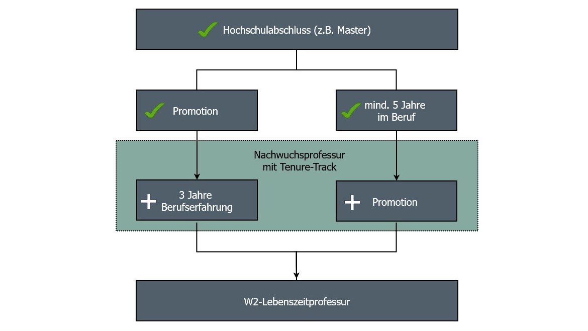 Der Weg zur Nachwuchsprofessur führt über den Promotionstrack oder den Praxistrack.
