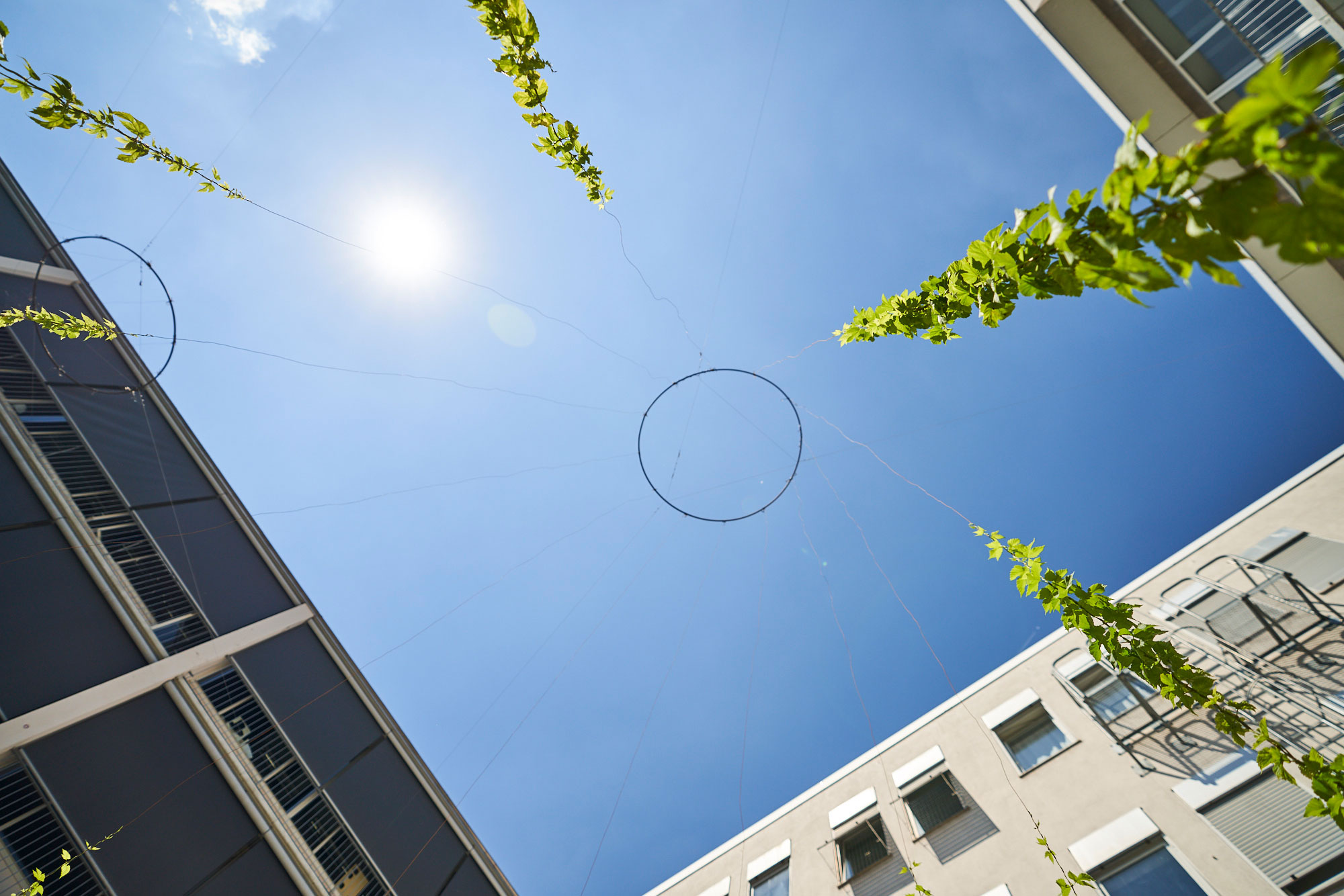 Innenhof des Gebäudes Karlstraße 6