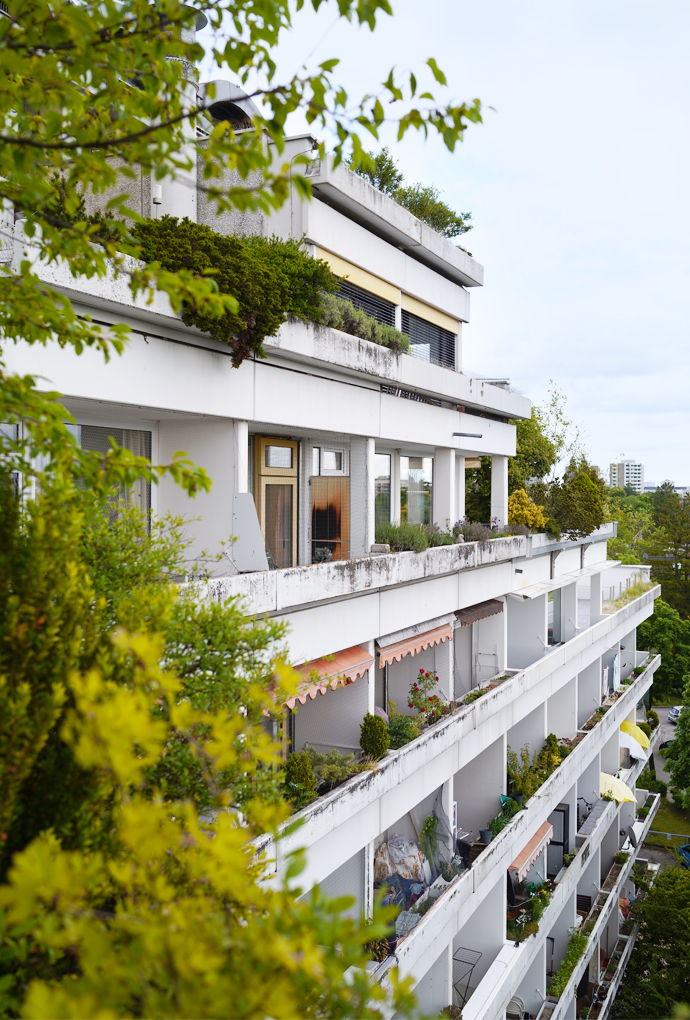 Forschungsprojekt „Wilde Dächer“ von Prof. Sandra Bartoli, Fakultät für Architektur, Hochschule München