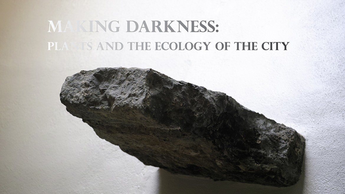MA-Theorie - Making Darkness: Plants and the Ecology of the City - Ausleger, Saline Royale d'Arc-et-Senans