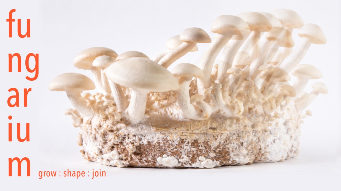 Master Fachprojekt | „FUNGARIUM grow : shape : join“ | Prof. Anne Carina Völkel