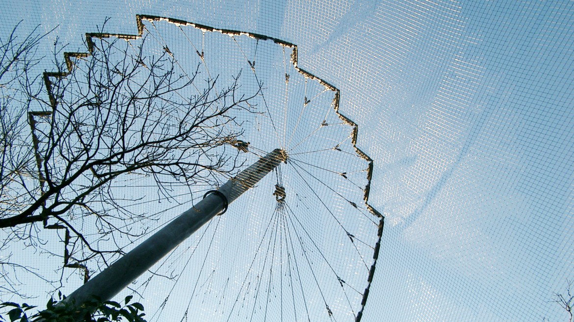 Master Fachprojekt „Bauen mit Membranen – Neues Affenhaus für den Zoo Hellabrunn“ | SoSe 26 | Prof. Dr. Ing. Lars Schiemann, LB Dr.-Ing. Ann-Kathrin Goldbach