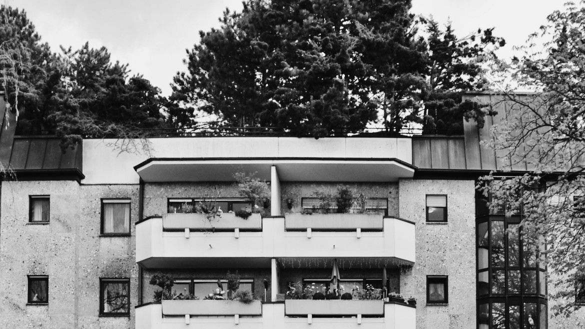 Forschungsprojekt: Wilde Dächer – Die Ökosystemleistung extensiver Dachbegrünungen