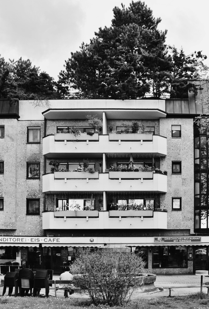 Forschungsprojekt: Wilde Dächer – Die Ökosystemleistung extensiver Dachbegrünungen