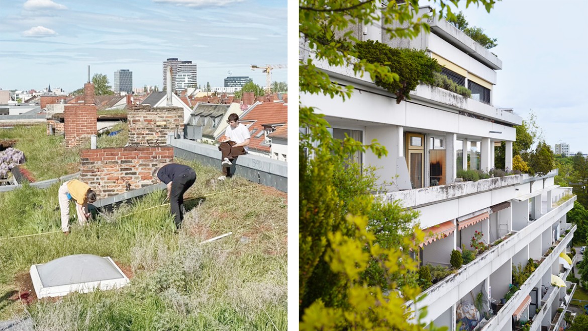 Forschungsprojekt „Wilde Dächer“ von Prof. Sandra Bartoli, Fakultät für Architektur, Hochschule München