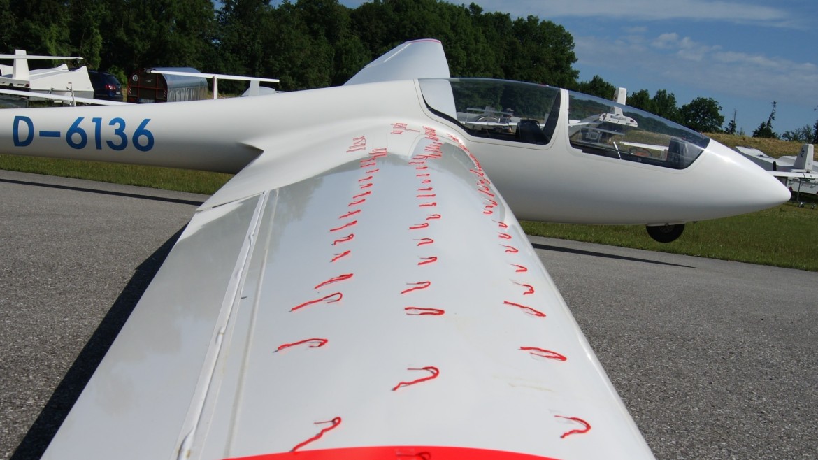 Aerodynamik_Fädchenfliegen