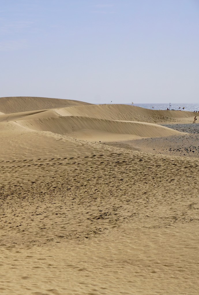 Smart Green Island 2026 auf Gran Canaria