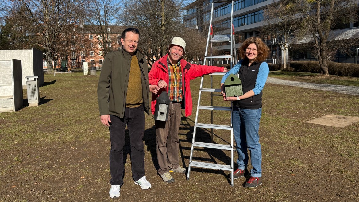 Unterschiedliche Varianten von Nistkästen werden im Innenhof der Hochschule München platziert.