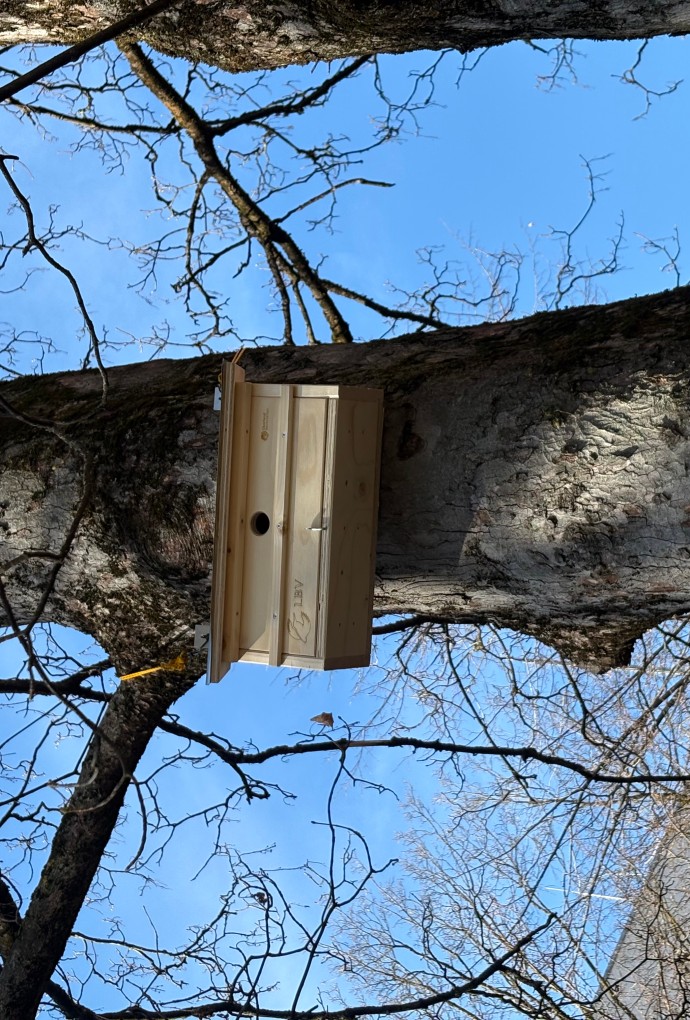 Vogelnistkasten an der Hochschule München.
