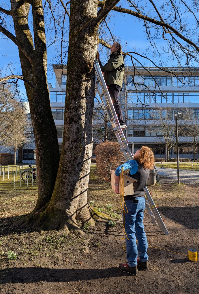 Beim Anbringen der Nistkästen an der Hochschule München.