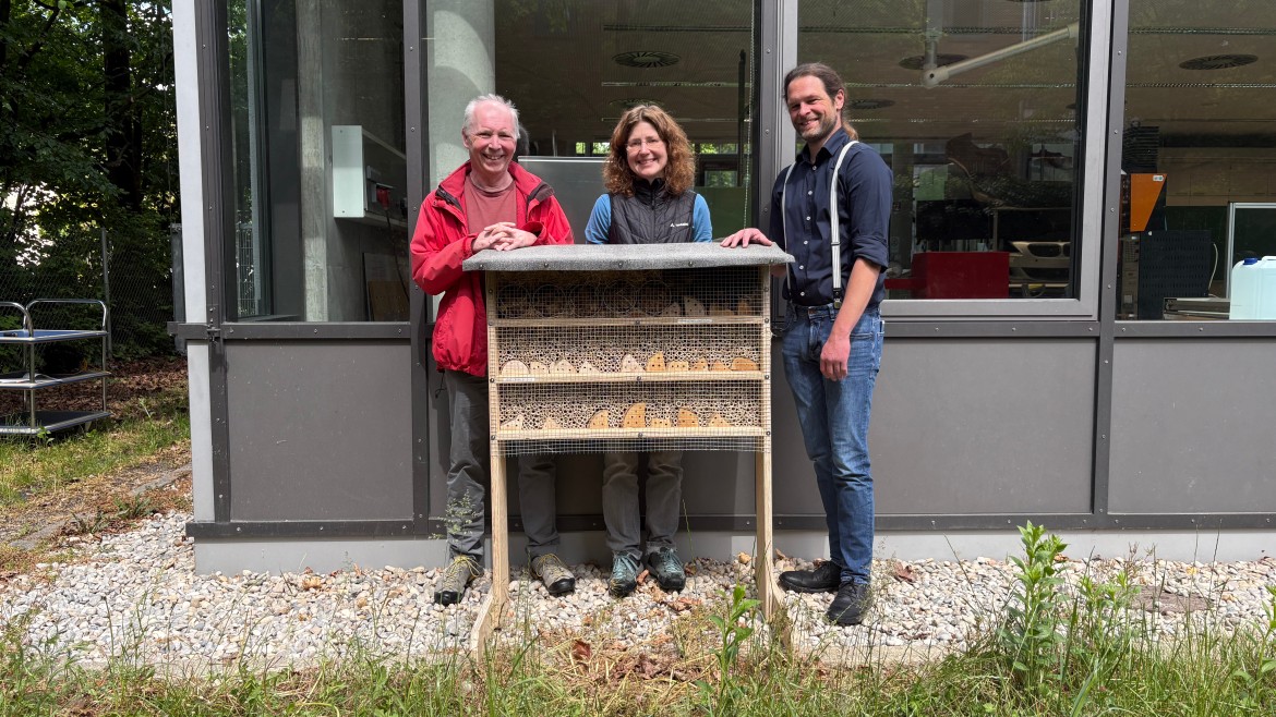 Insektenhotels für mehr Biodiversität an der Hochschule München