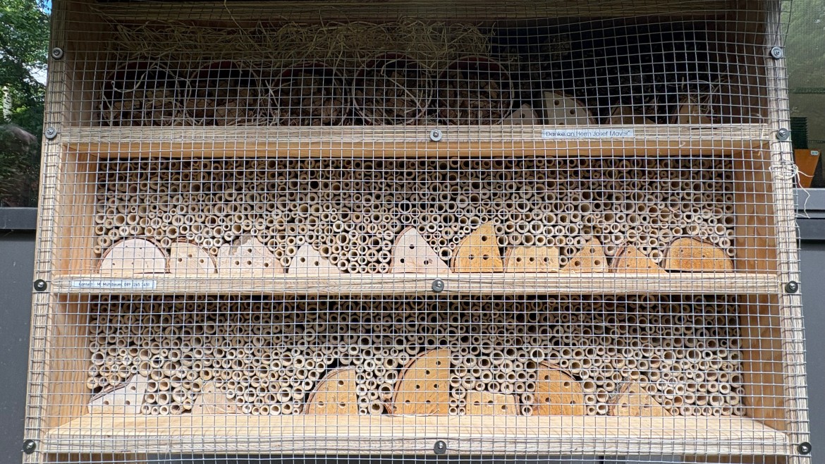 Insektenhotels für mehr Biodiversität an der Hochschule München
