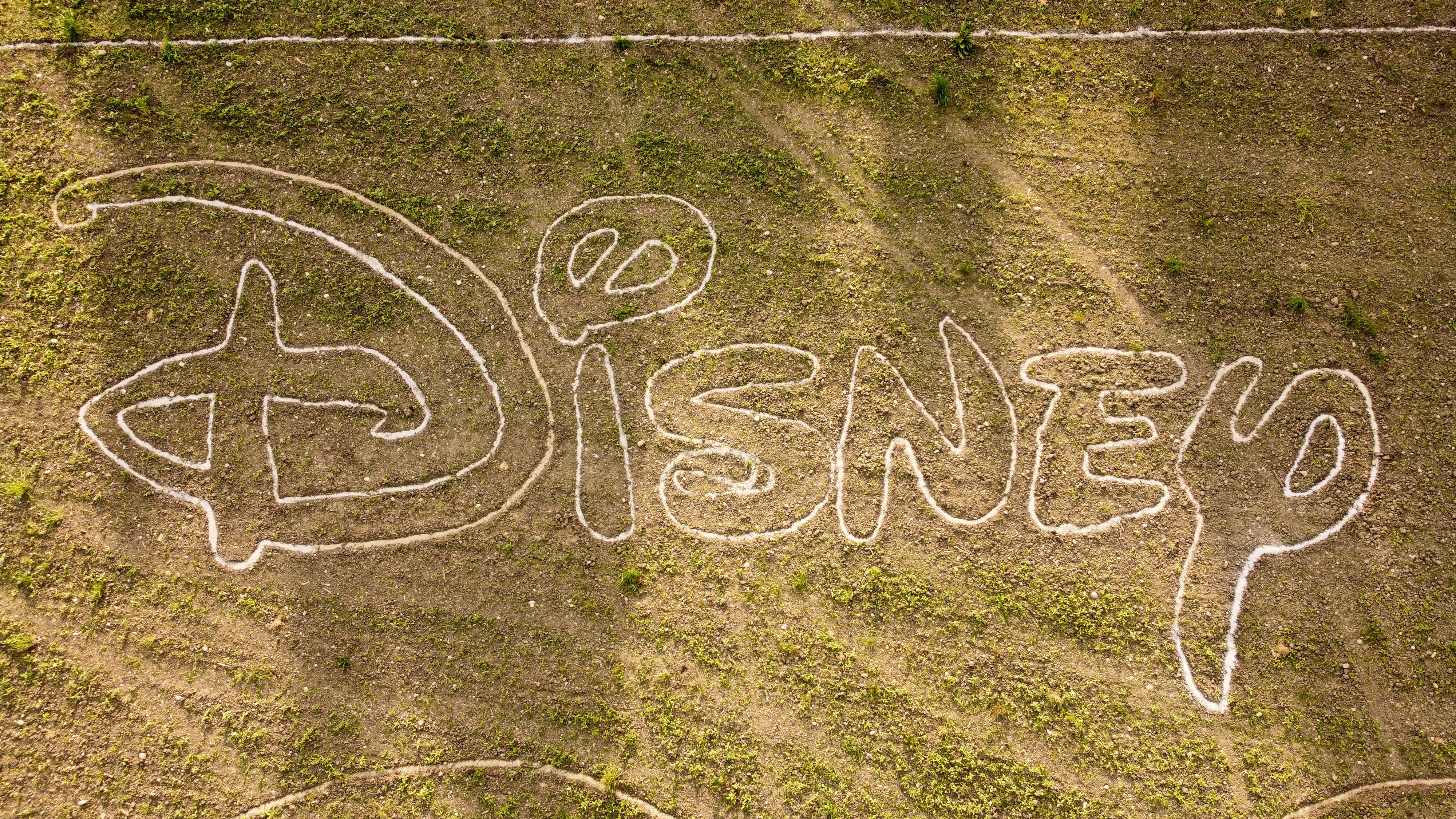 Schrift Disney im Feld