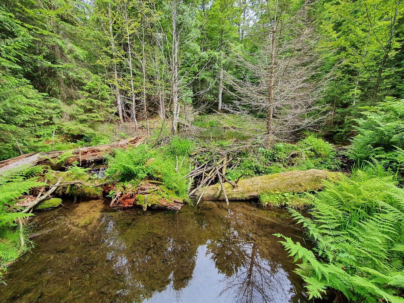 Landschaftsfoto