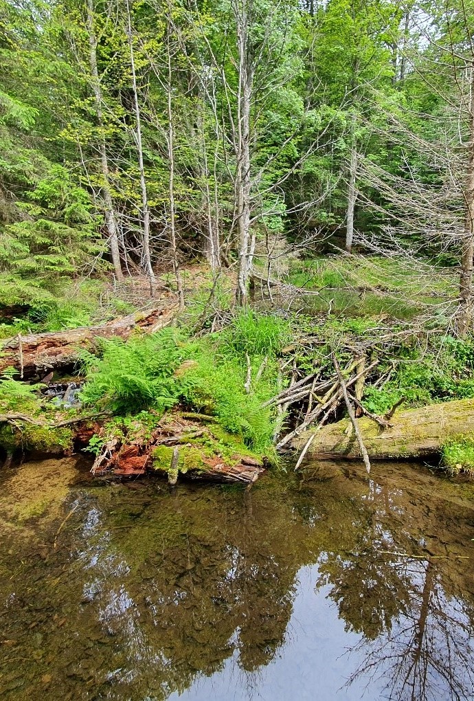 Landschaftsfoto