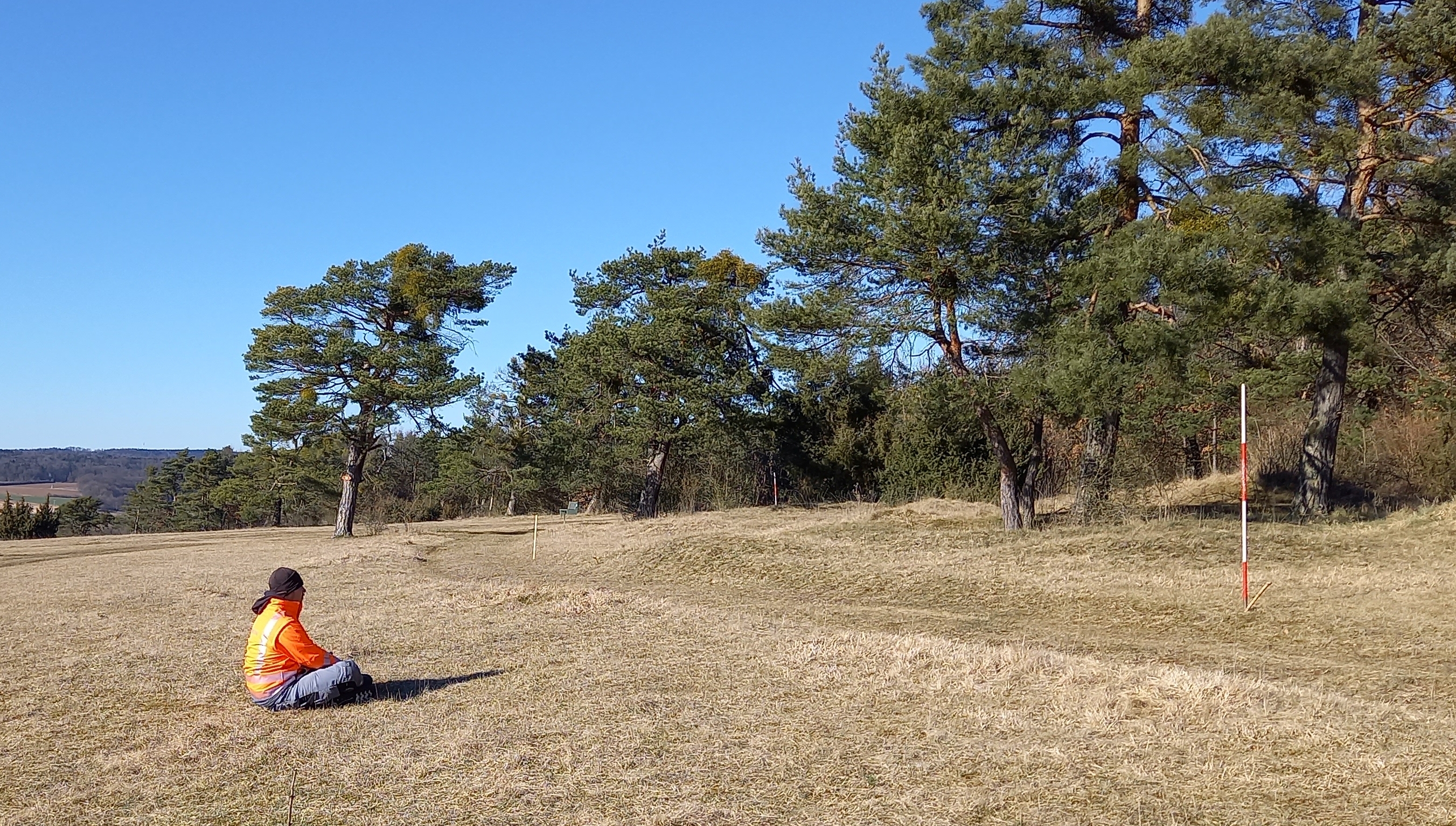Person sitzt im Gras