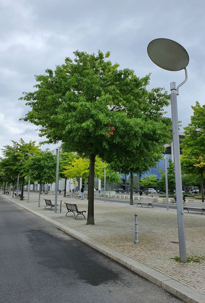 Strassenlaternen
