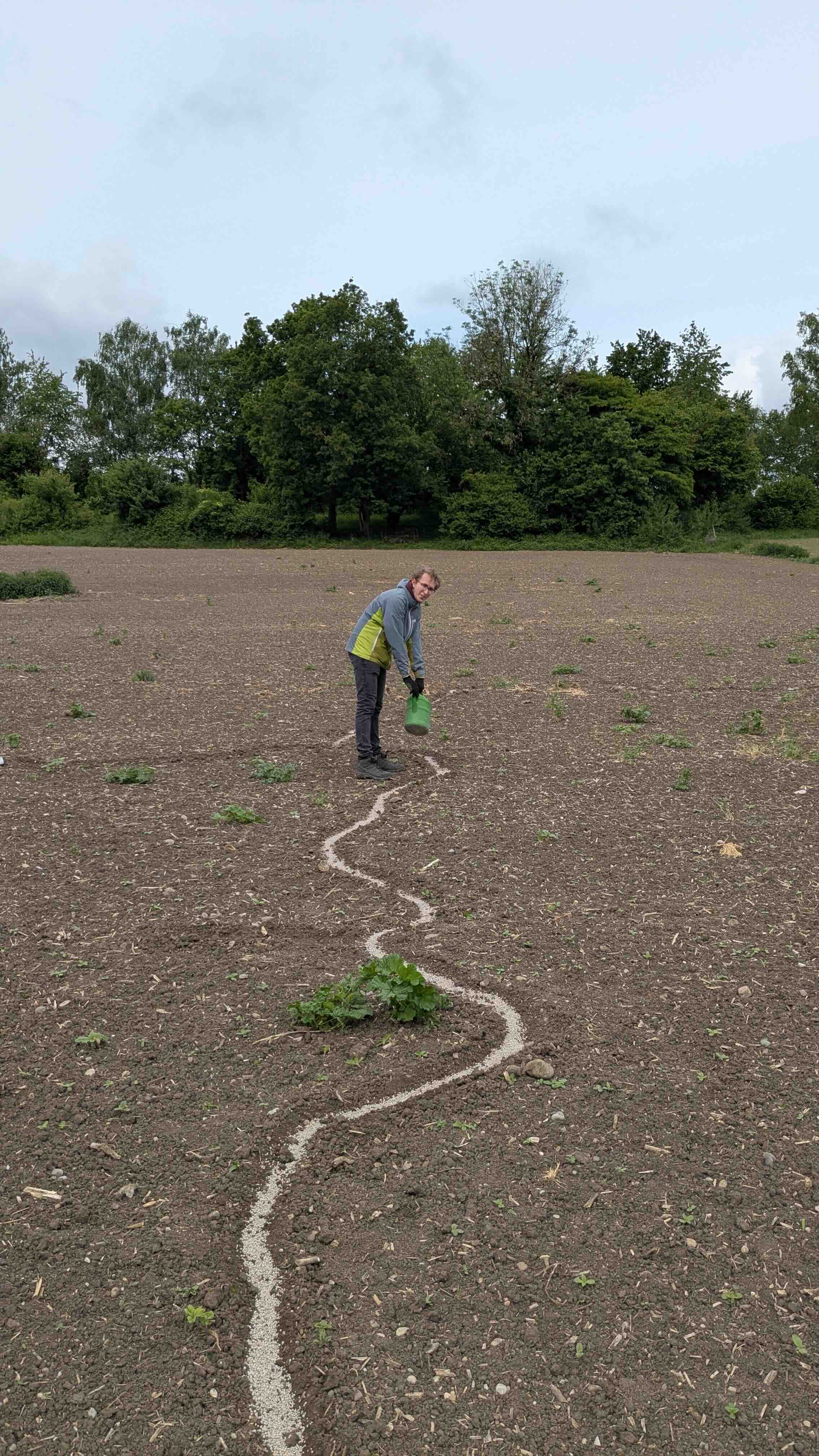 Linie für Linie.