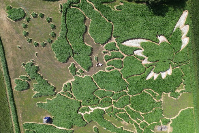 Und so sieht das Labyrinth kurz vor der Eröffnung aus. (Foto: Exornamentis) Und so sieht das Labyrinth kurz vor der Eröffnung aus.