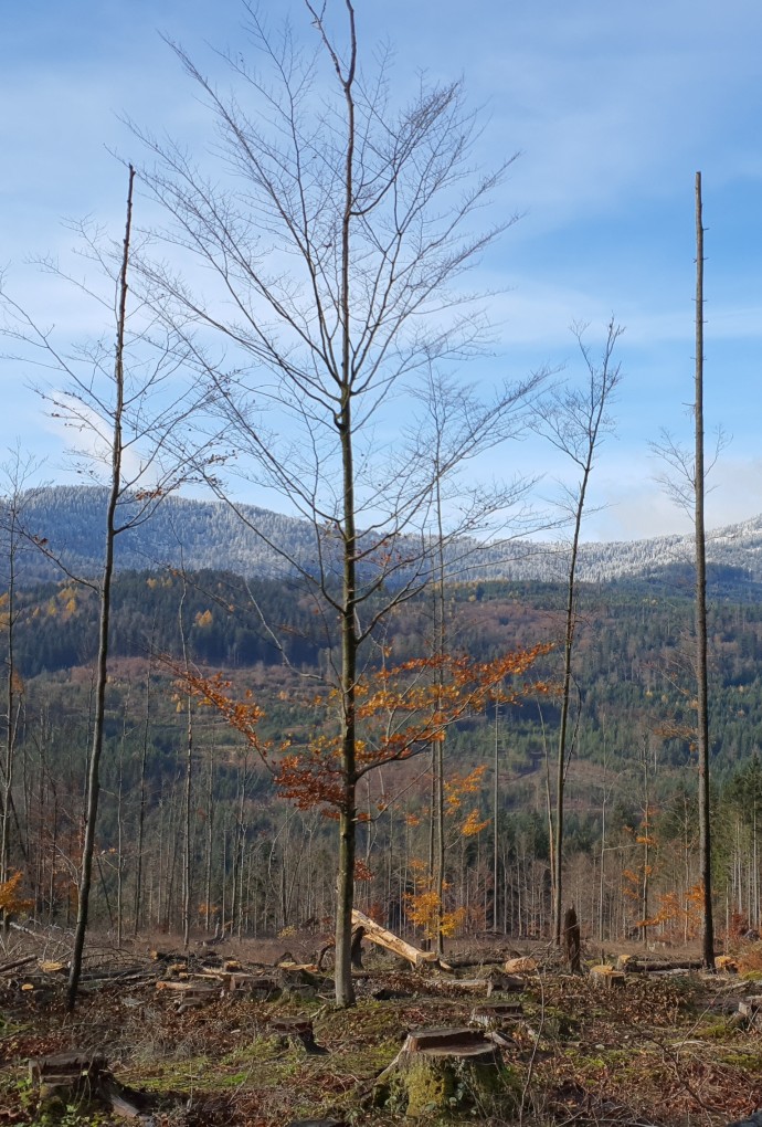Landschaftsfoto