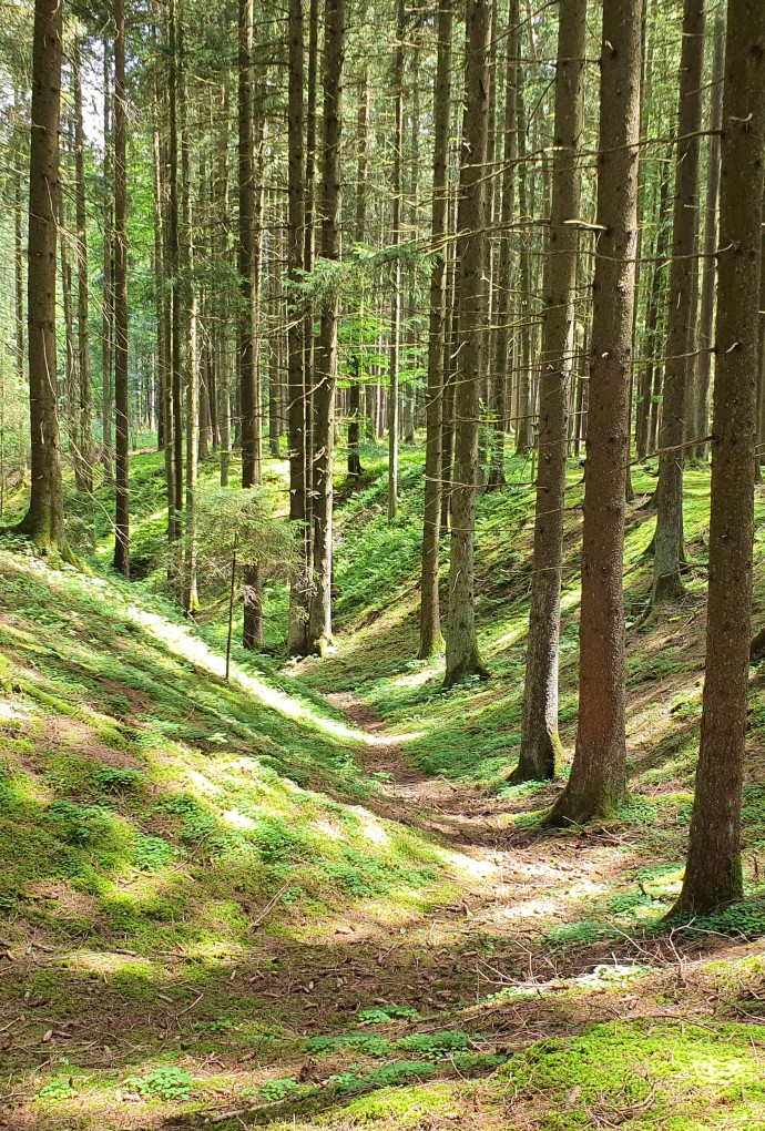 Foto einer Doline