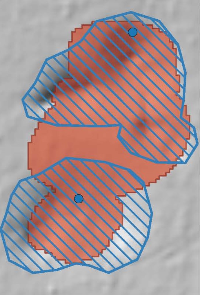 Grafik