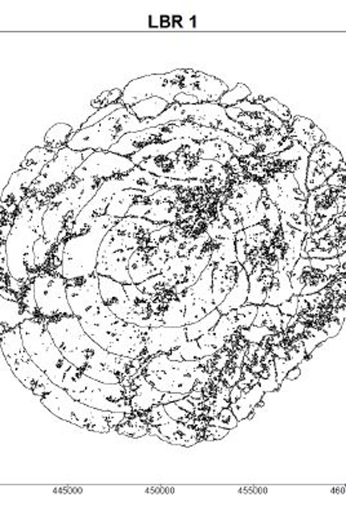 Grafik