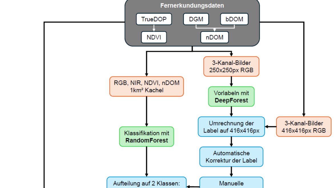 Übersicht über die Methodik. (Abbildung: Marina Trinz) Ablaufschema