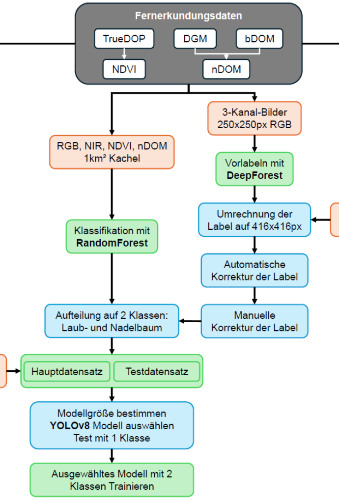 Ablaufschema