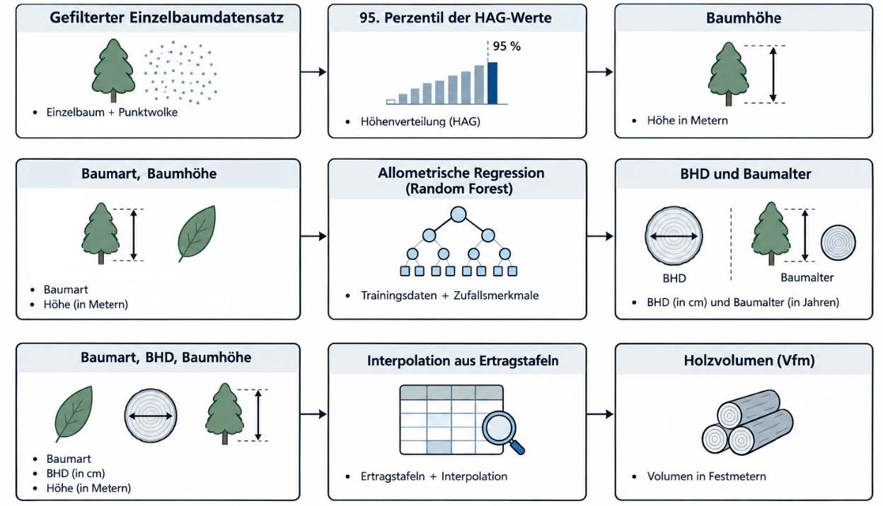 Ablaufschema