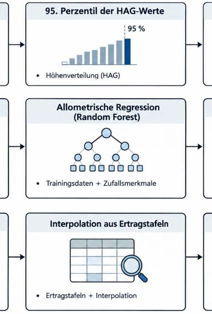 Ablaufschema