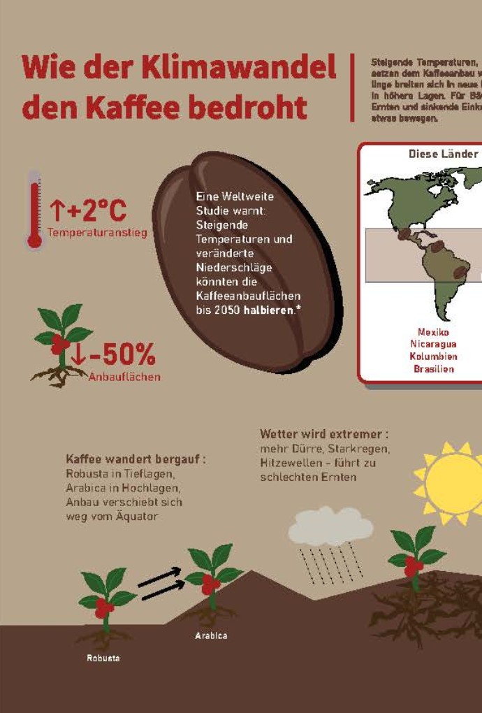 Infografik