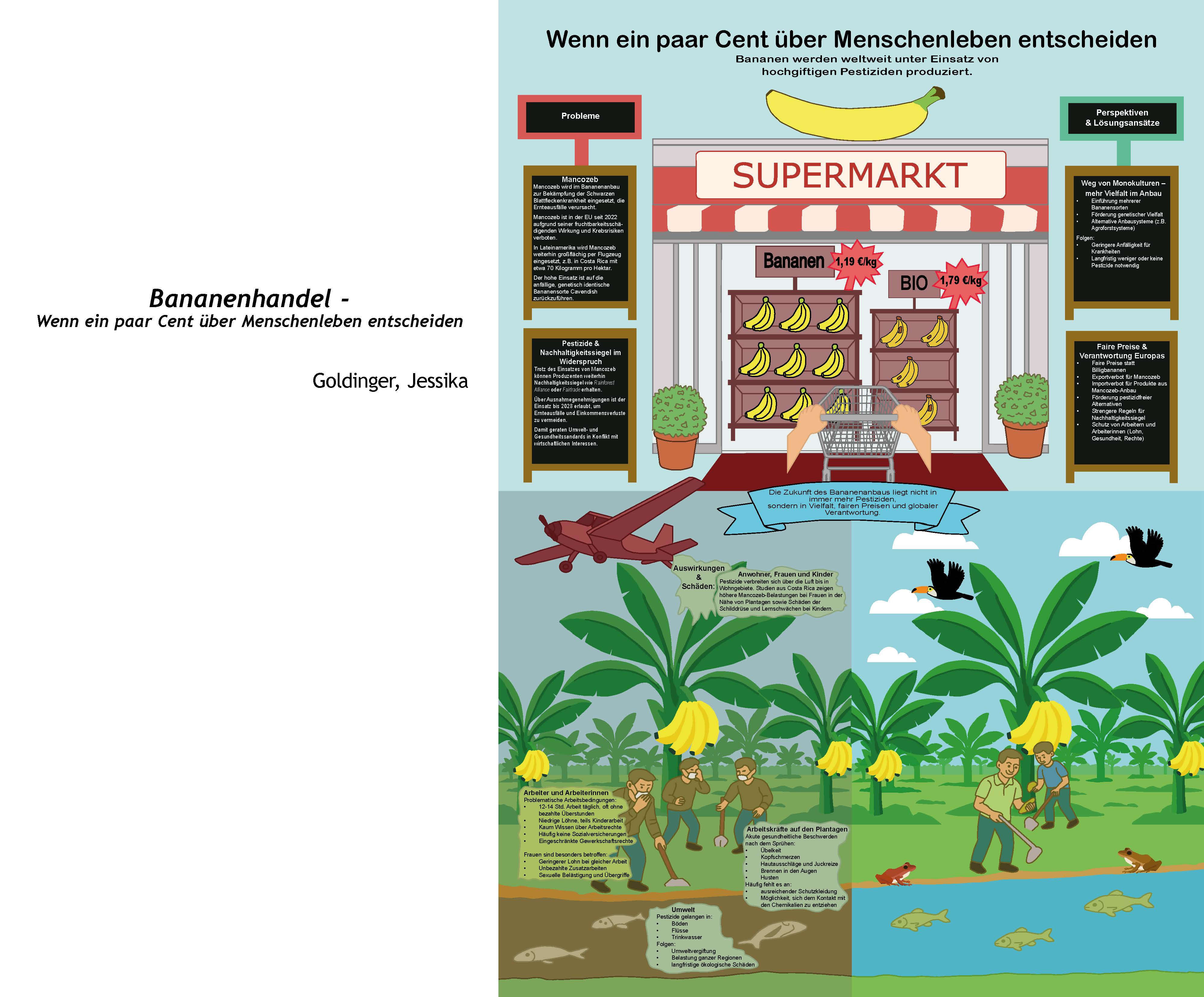 Infografik