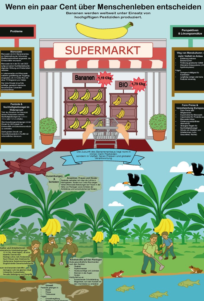 Infografik