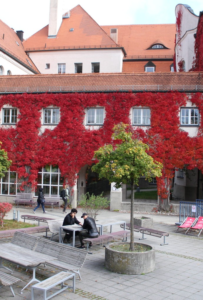 Campus Pasing